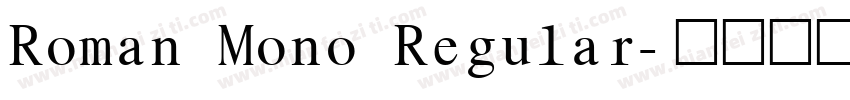 Roman Mono Regular字体转换